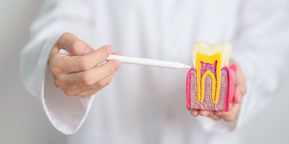 how to care for your tooth after a root canal in austin