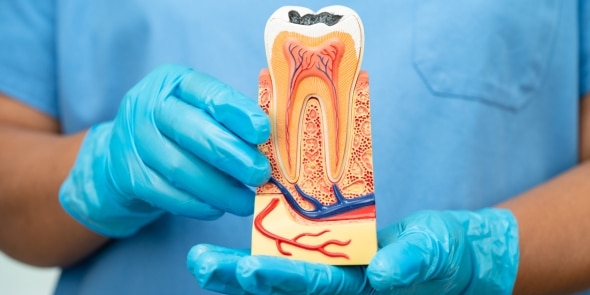 signs you may need a root canal in austin (and when to see a dentist)