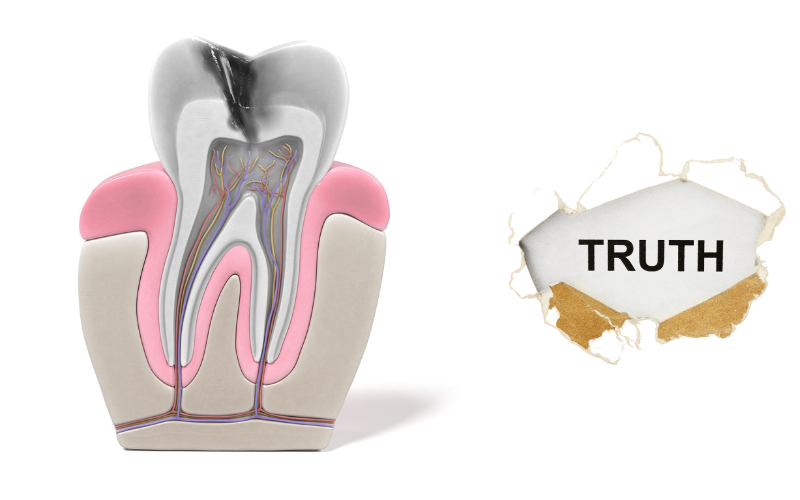 the truth about root canals and cancer