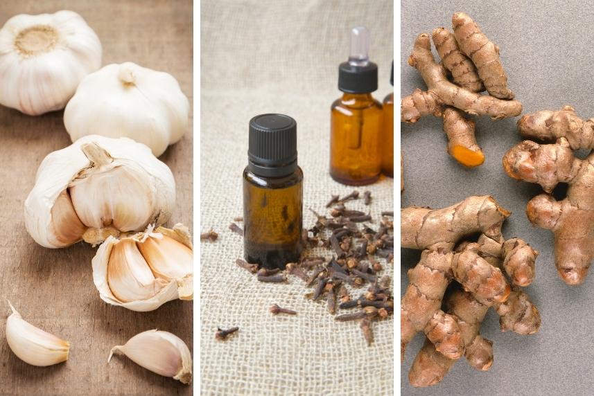 what is the strongest natural antibiotic for tooth infections
