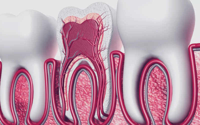 Is Root Canal Therapy Painful